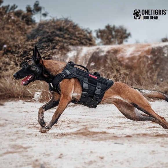 Tactical Dog Harness - Black - Picture 2 of 4